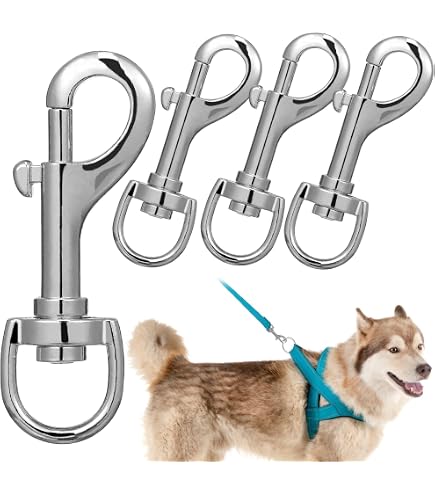 Amazon | [シャンディニー] 犬 リードフック 金具 首輪 バックル